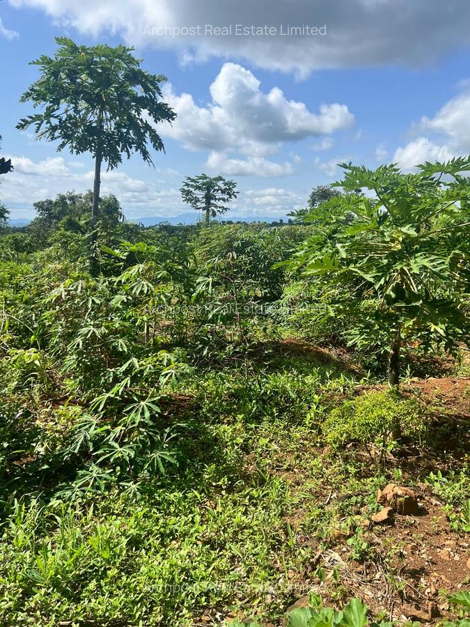 2 ac Land at Karingani - 4
