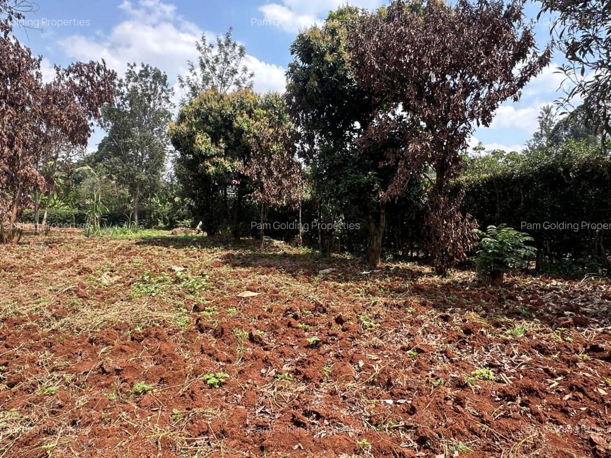 0.5 ac Residential Land at Muthithi Estate Gardens - 3