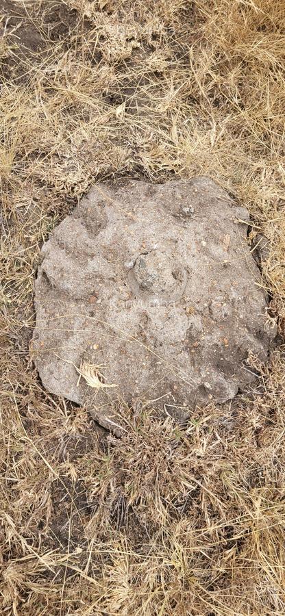 10 ac Land at Isinya - Inkiito Manoh - 8