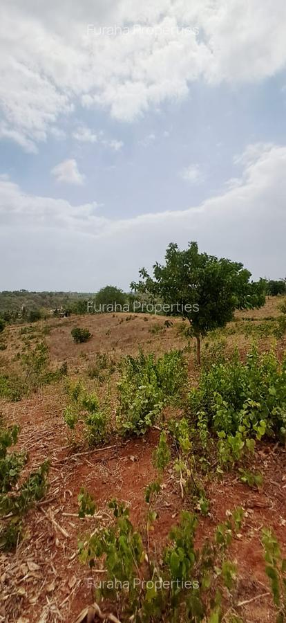 Land in Kilifi - 6