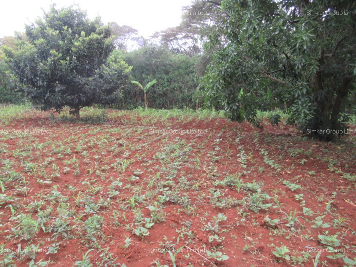 Residential Land at Karen Hardy - 8