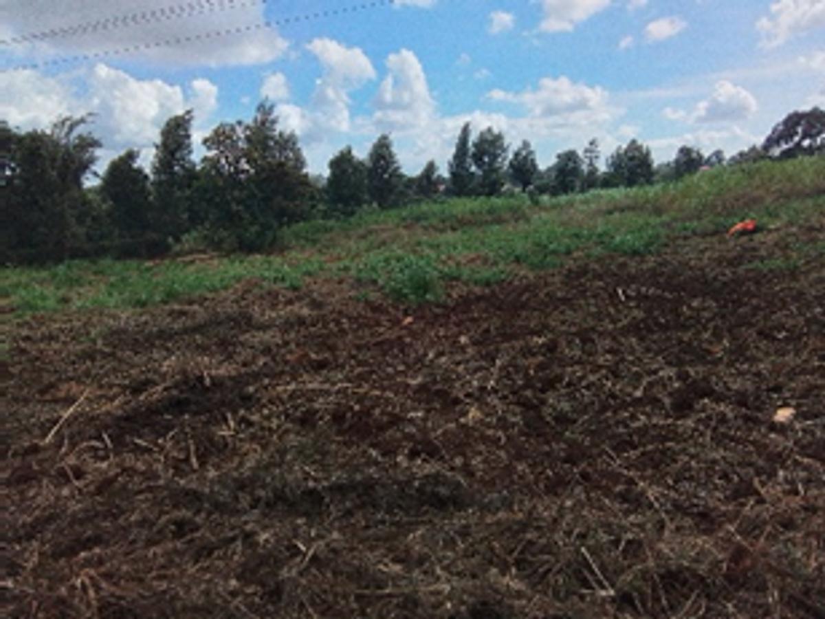Land in Kikuyu Town - 2