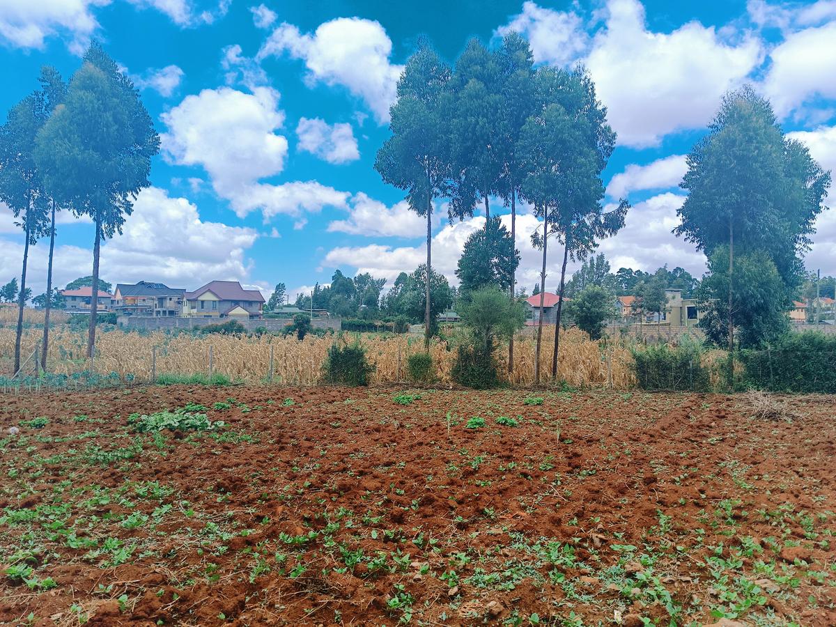 1,000 m² Residential Land at Riu-Nderi - 12