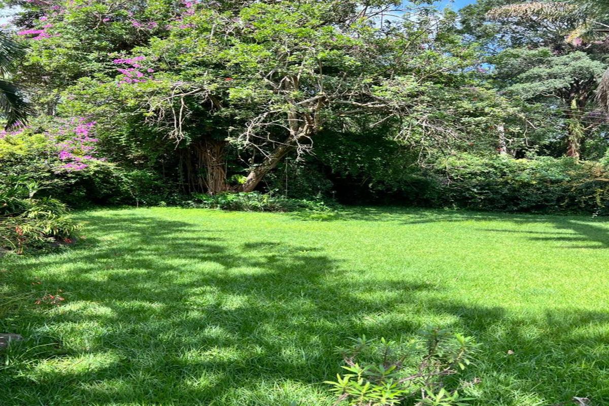 Land in Muthaiga - 9