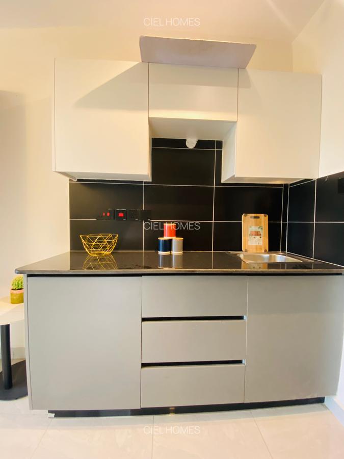 Studio Apartment with En Suite at Chadi Road - 2