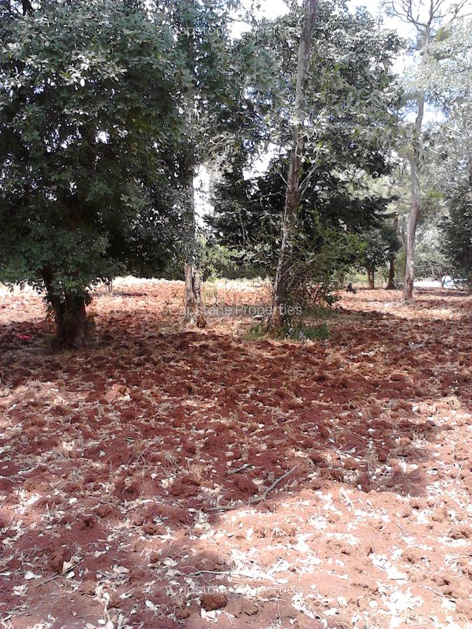 Residential Land at Runda - 2