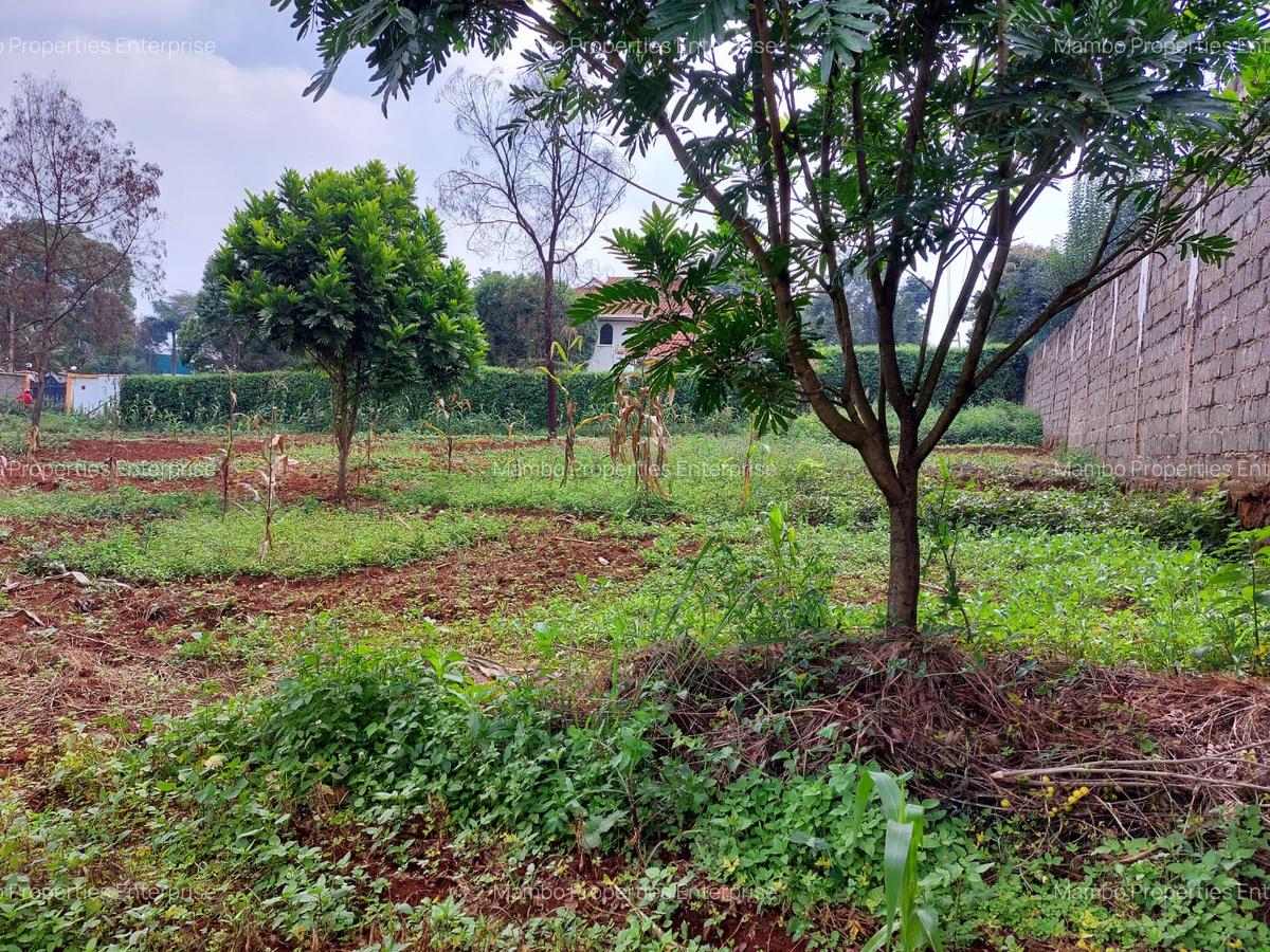 Residential Land at Pan African Insurance Avenue - 12