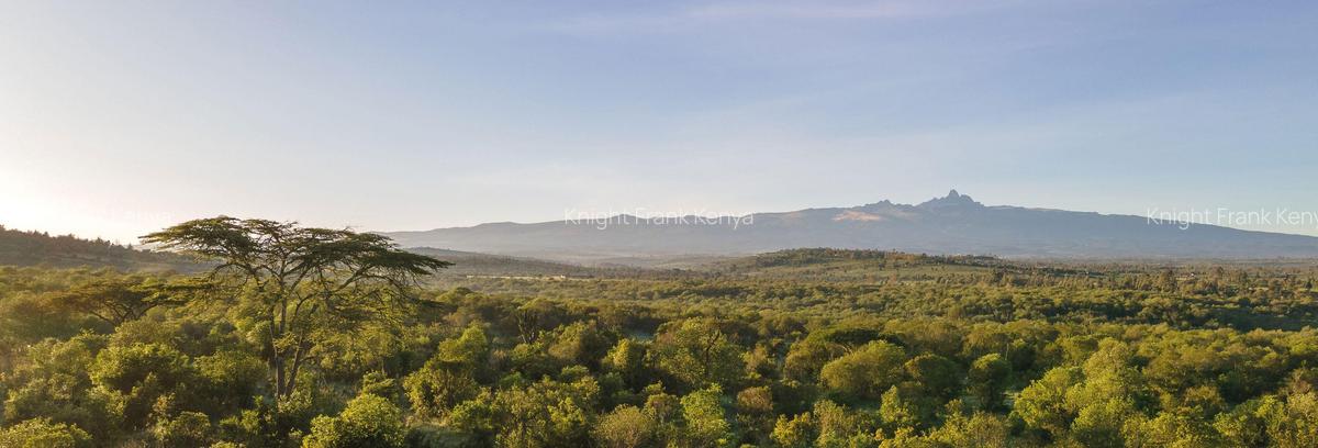 30.3 ac Land at Lolldaiga Valley - 5