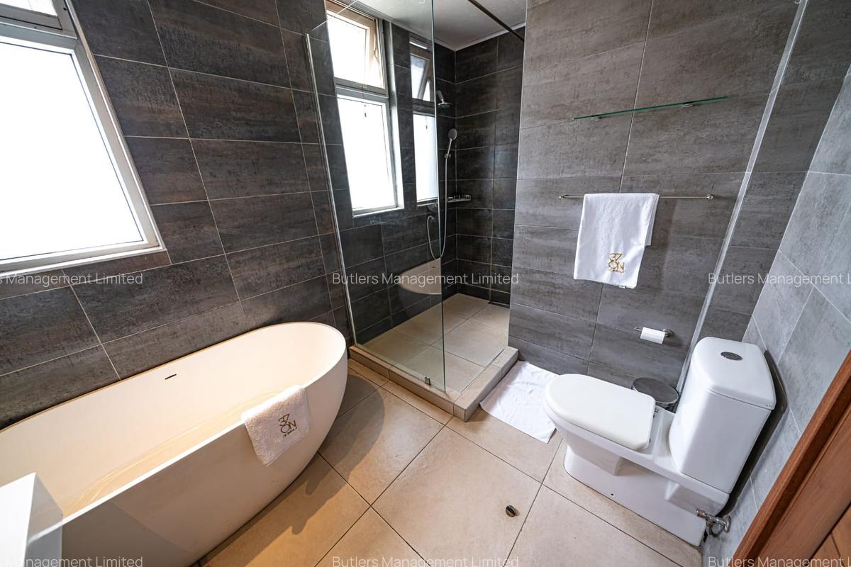 Serviced 2 Bed Apartment with En Suite in Kileleshwa - 16