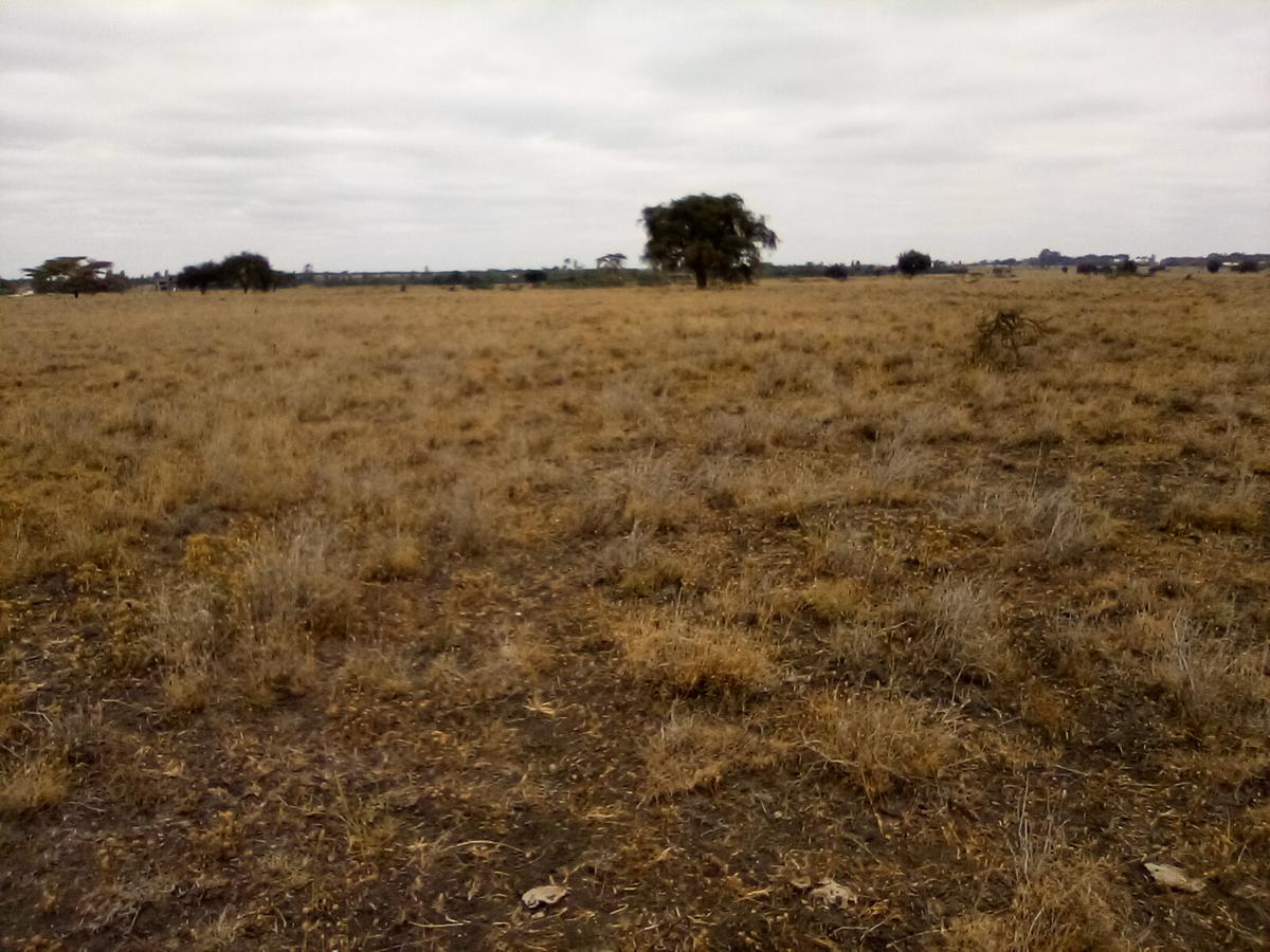 30 ac Land at Off Namanga Rd - 10