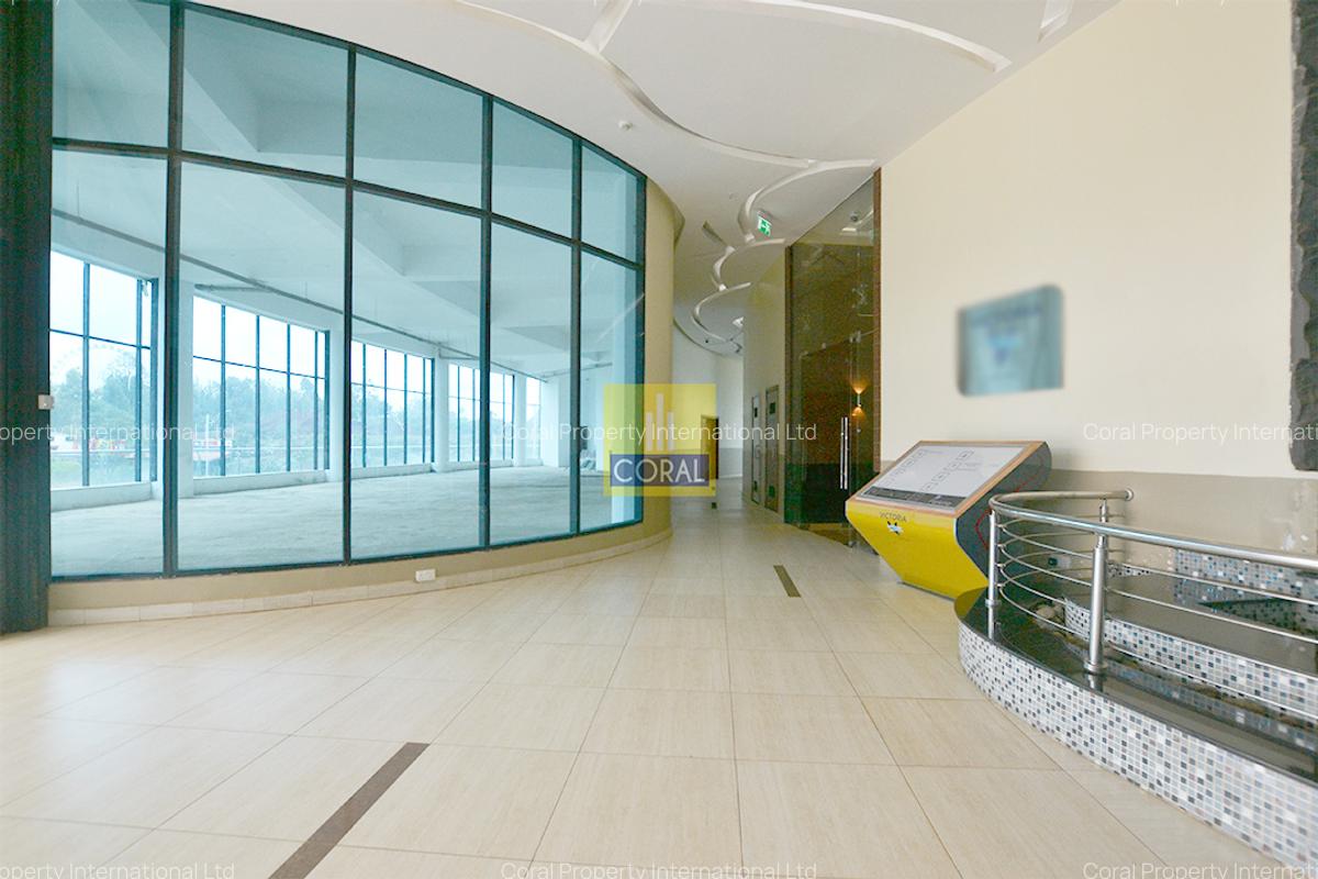 Office in Rosslyn - 15