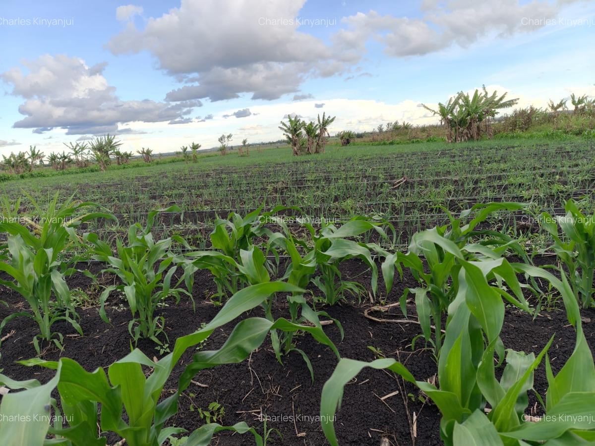 10.75 ac Land at Kisaju - 10