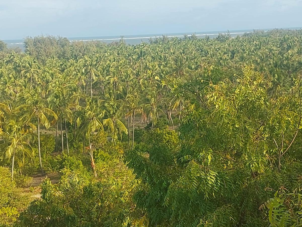 0.05 ha Land at Gede Palms Estate - 1