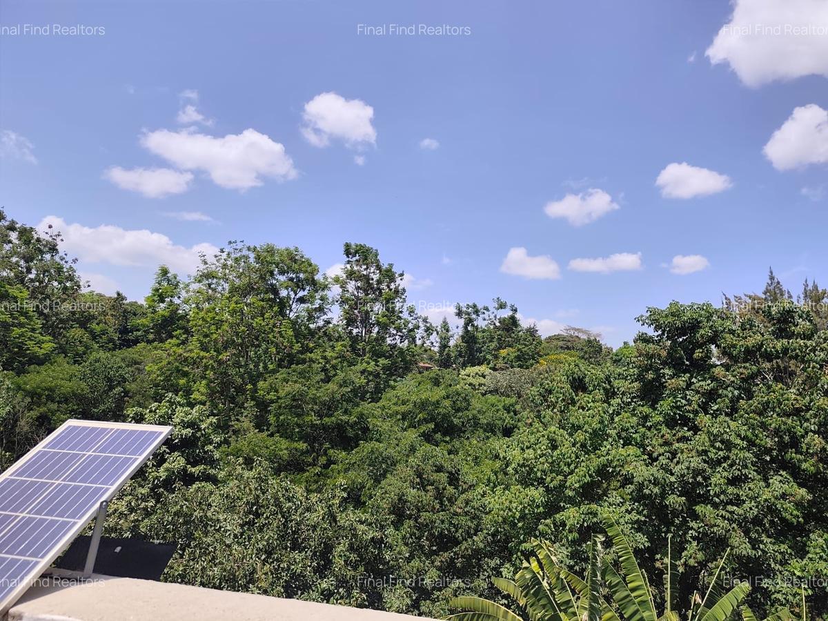 Furnished Studio Apartment with Gym in Gigiri - 12