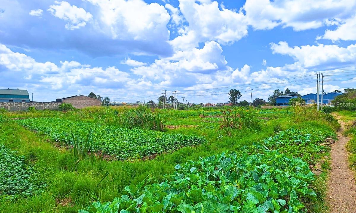 12.5 ac Commercial Land at Thika - 2