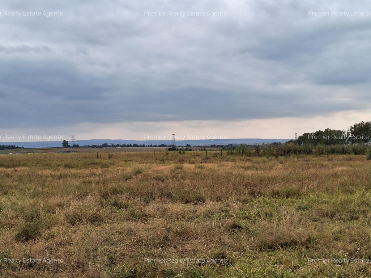 700 ac Land at Bisil - 7