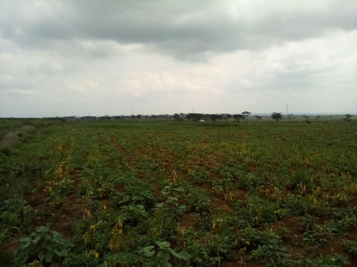 Land at Nanyuki - Rumuruti Rd - 7