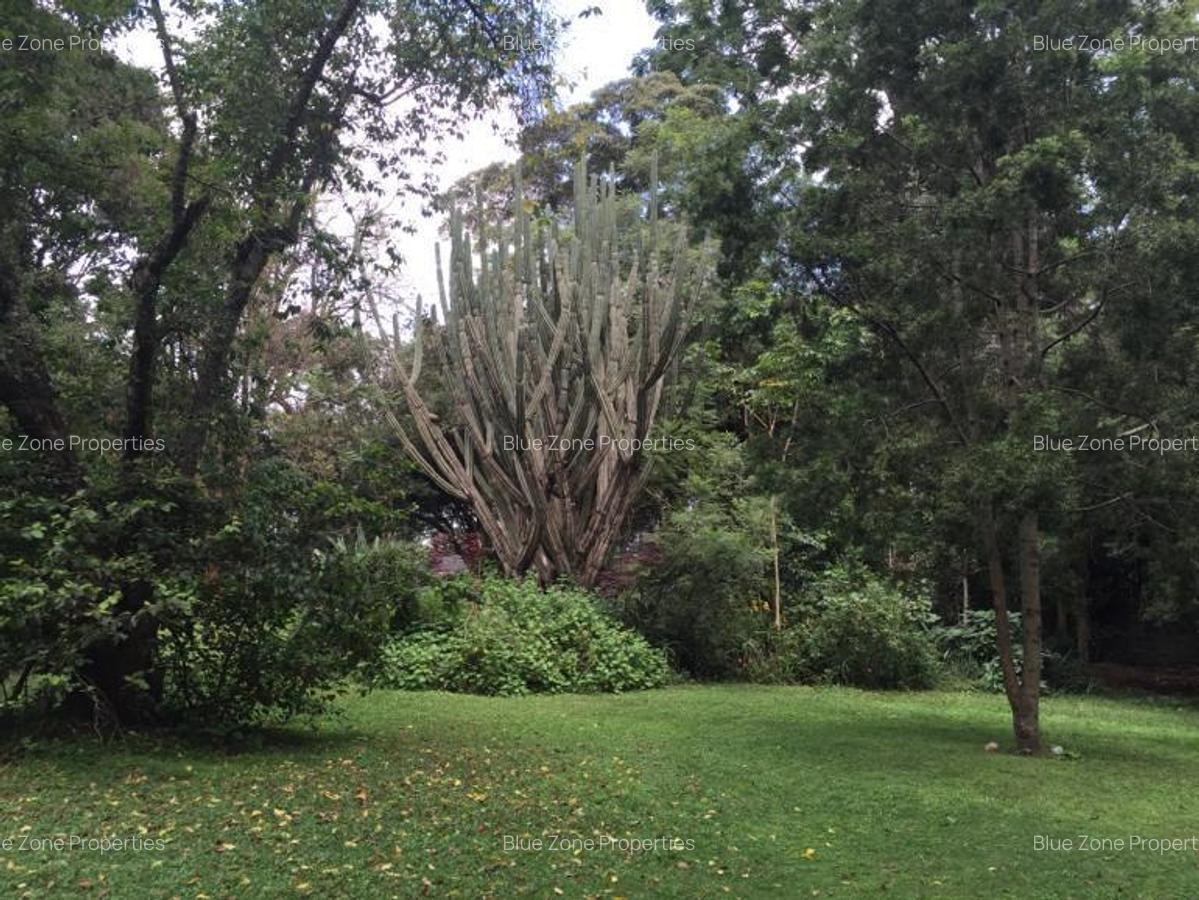 3 Bed Townhouse with En Suite at Close To Un - 3