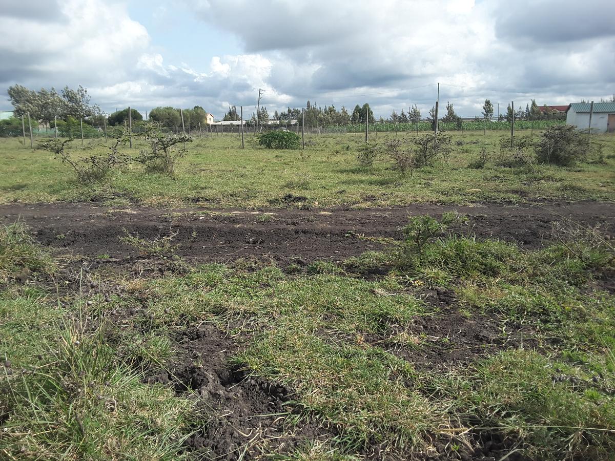 0.1 ha Residential Land in Ongata Rongai - 3