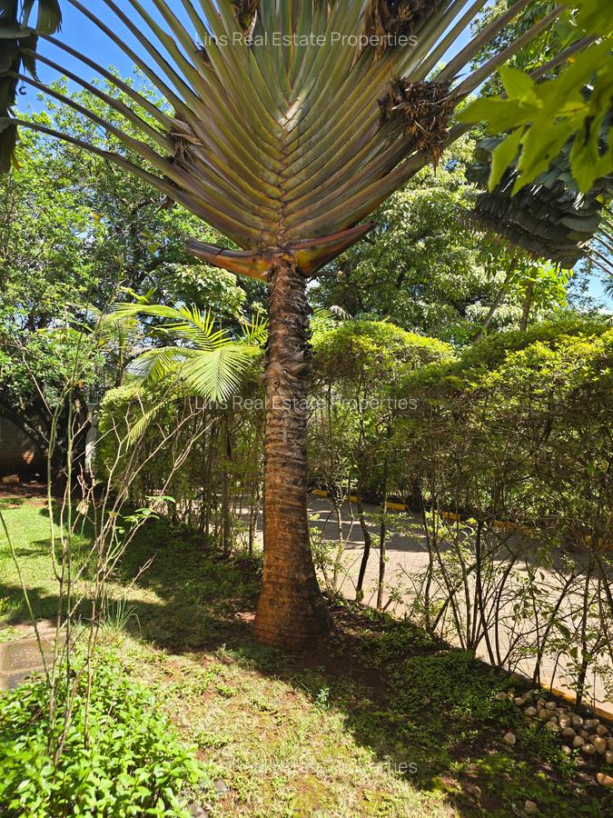 5 Bed Townhouse with En Suite in Lavington - 10