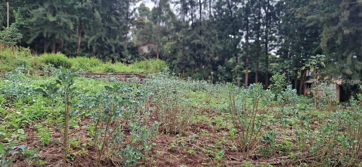 Commercial Land in Ngong - 5