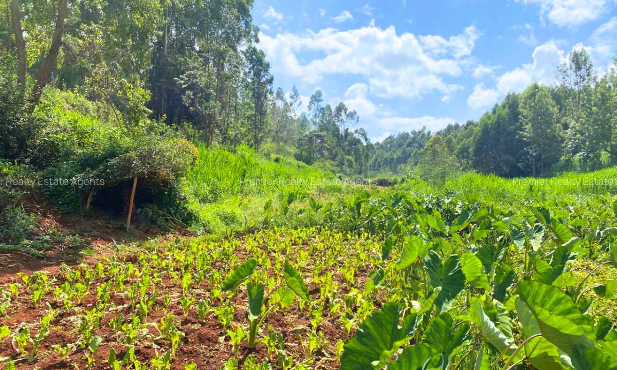 1 ac Land at Muchatha - 2