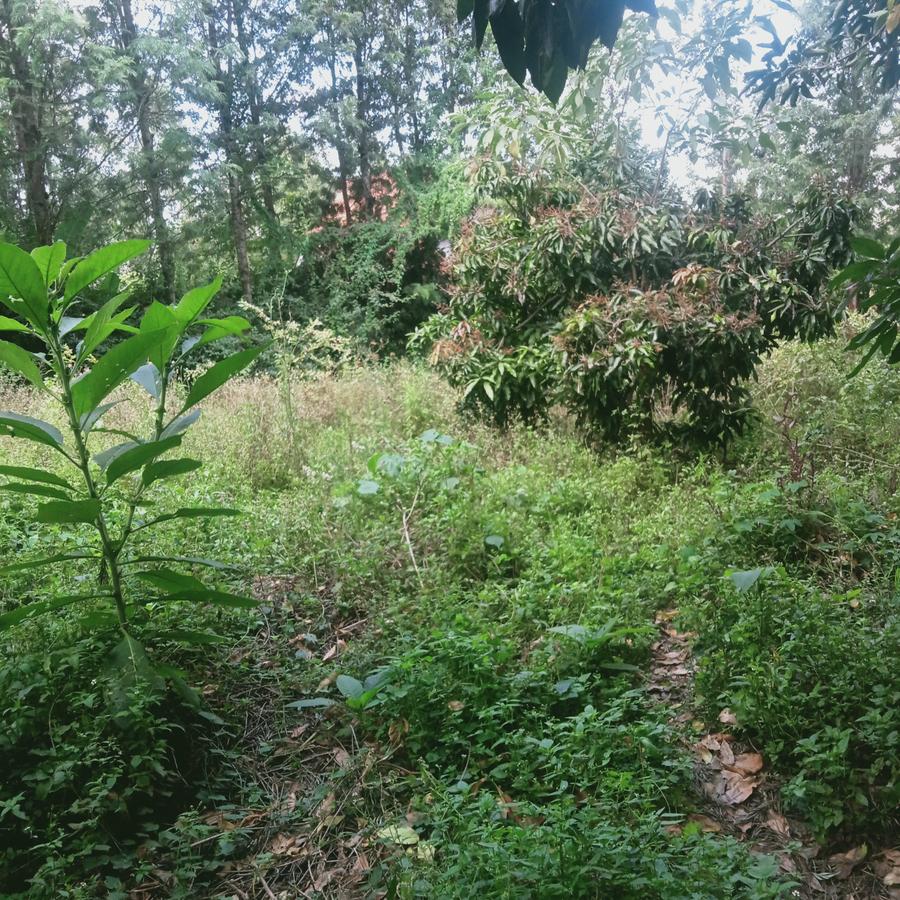 0.25 ac Land at Ngong - 3