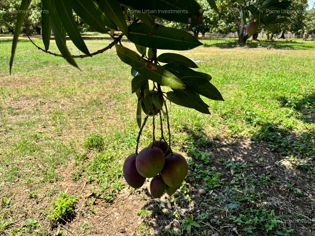 505.86 m² Land in Kikambala - 5