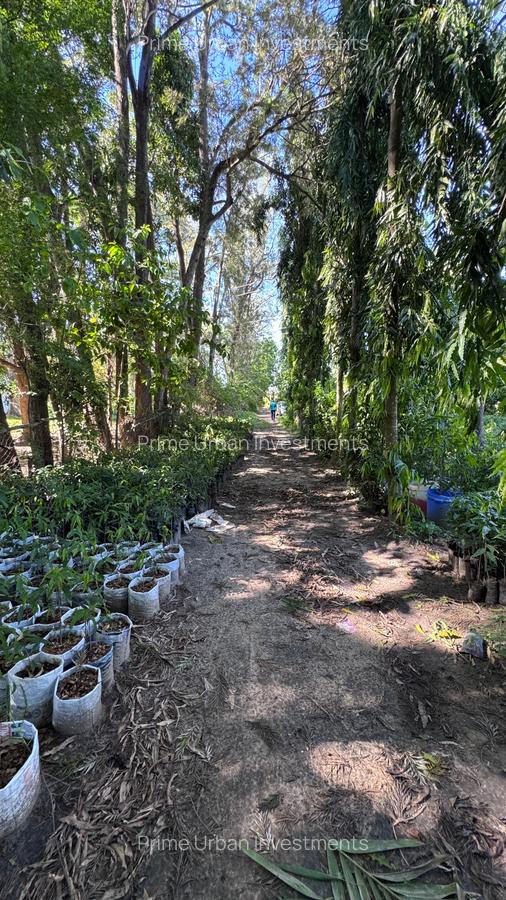 2 ac Land at Mtwapa - Animo - 10