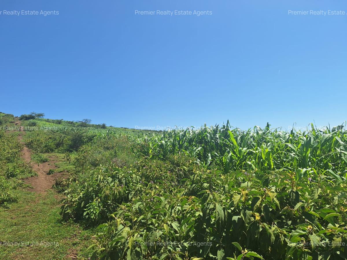 0.25 ac Residential Land at Nakuru - 12