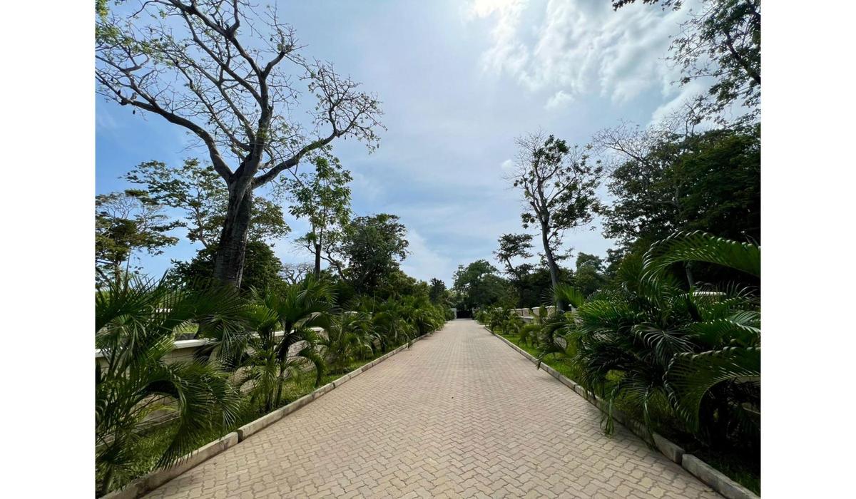 Residential Land in Diani - 6