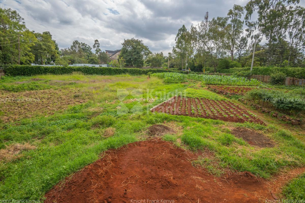 0.64 ac Land in Ridgeways - 5