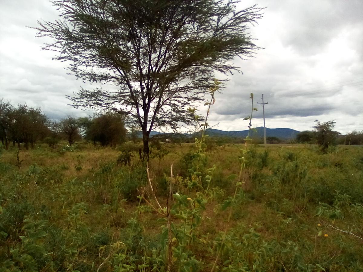 Land at Namanga Rd - 16