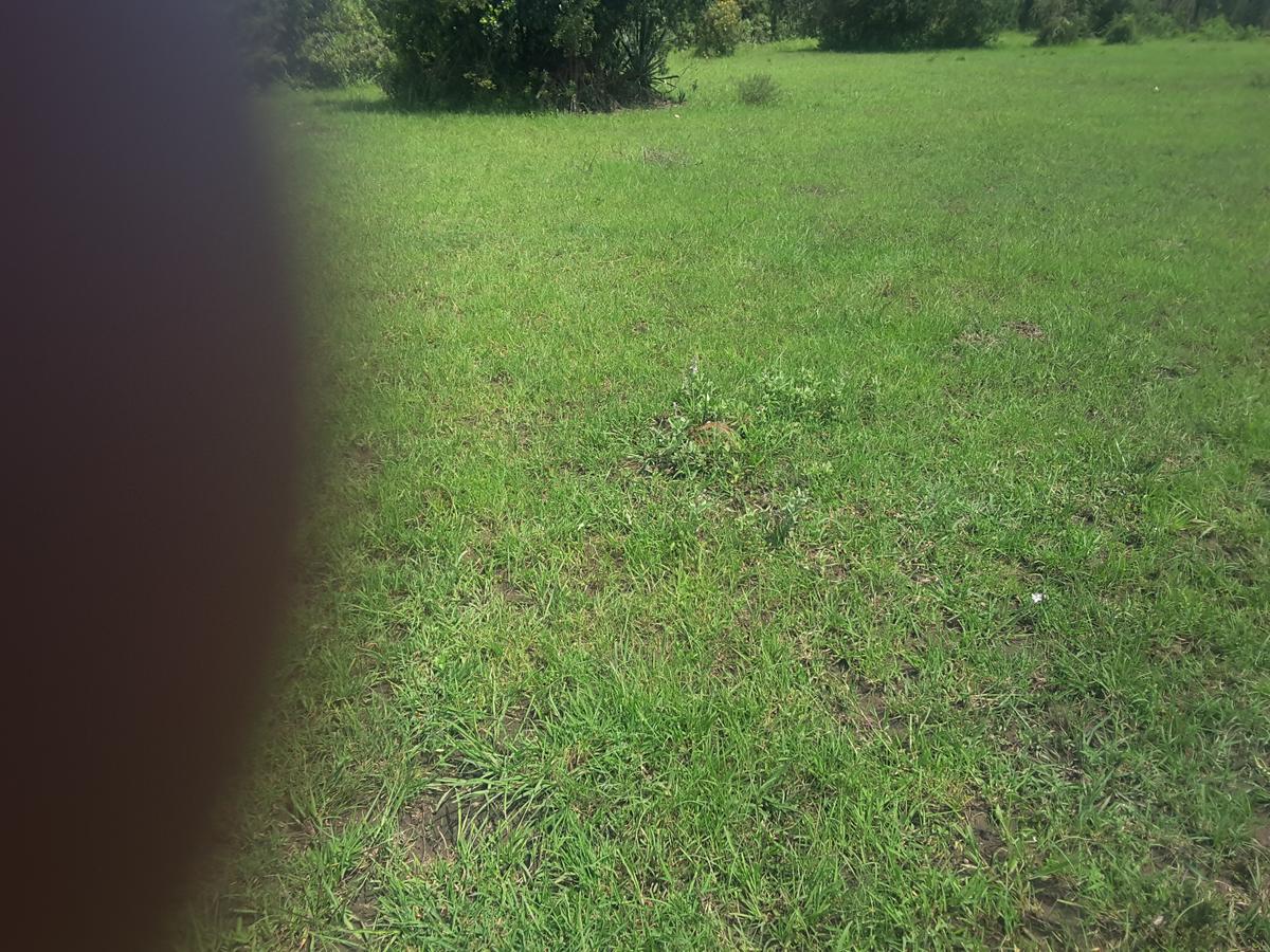 2 ac Land in Ongata Rongai - 10