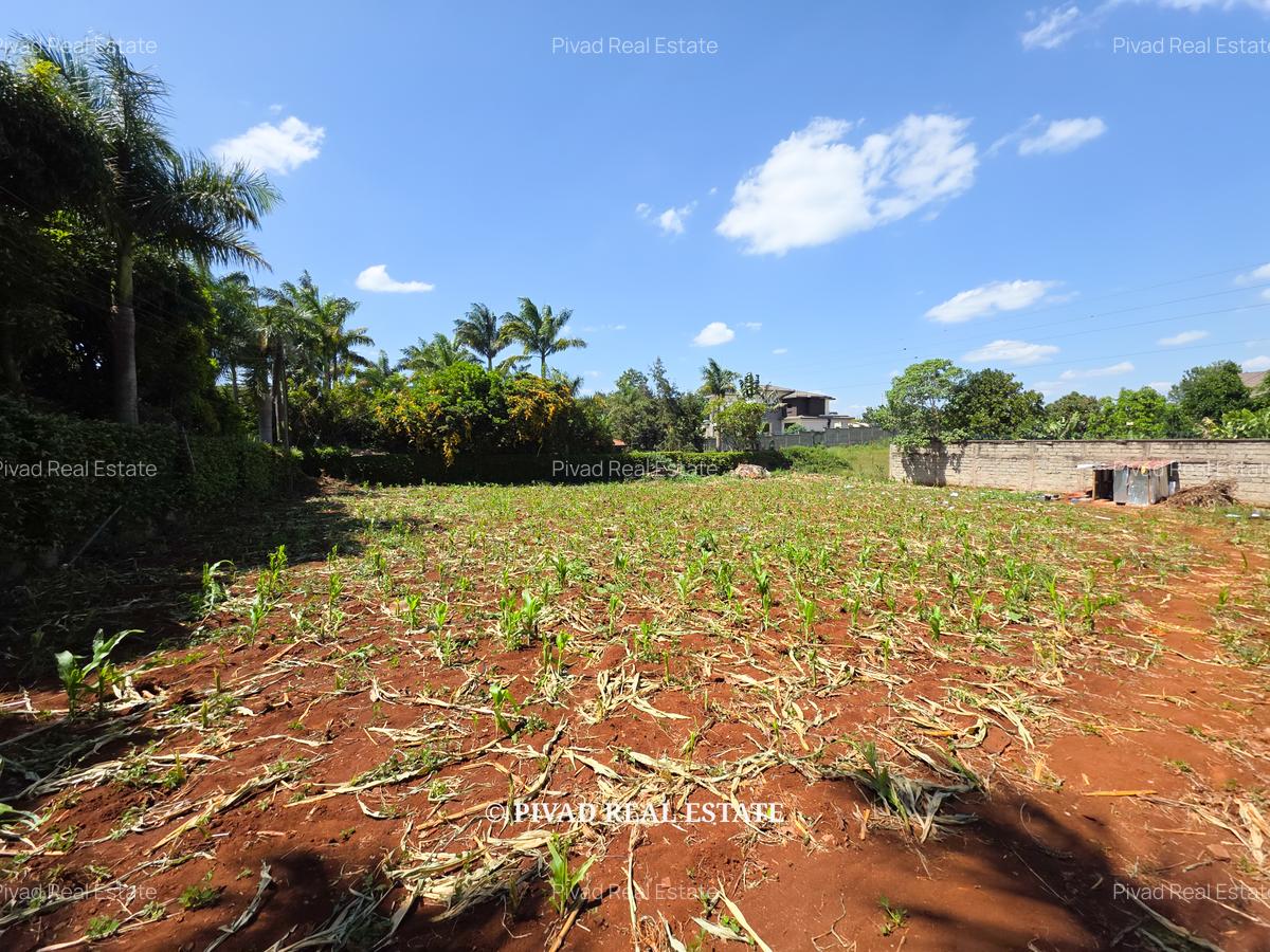 0.5 ac Land in Runda - 1