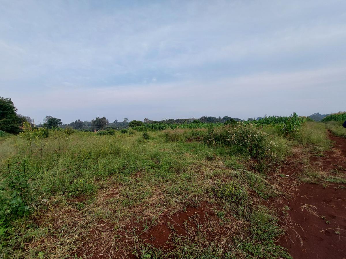 Residential Land at Kirawa Road - 4