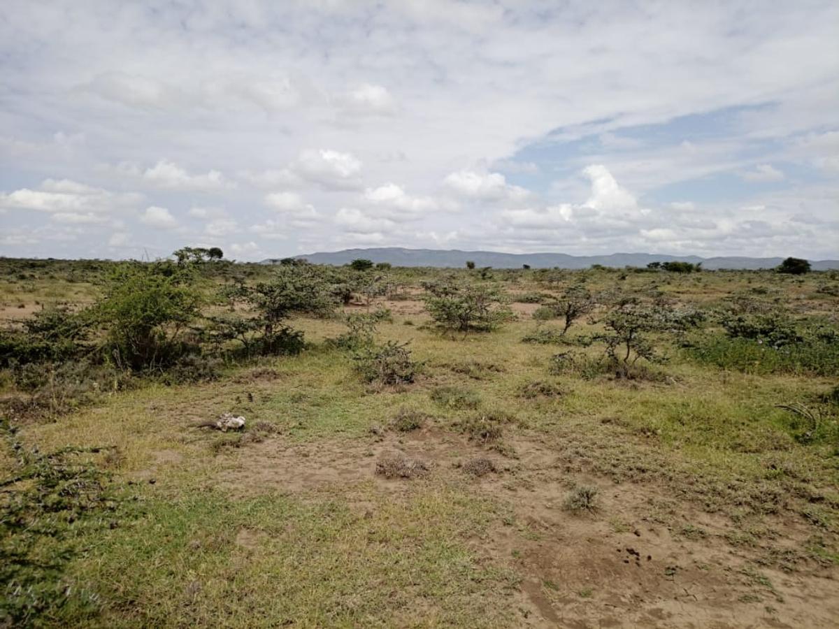 48 ac Land at Loita Plains Hotel - 5