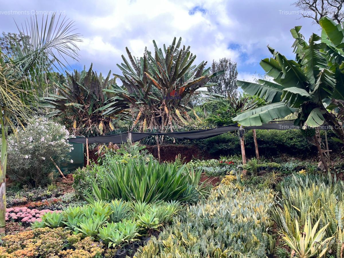 1 ac Land in Nyari - 3