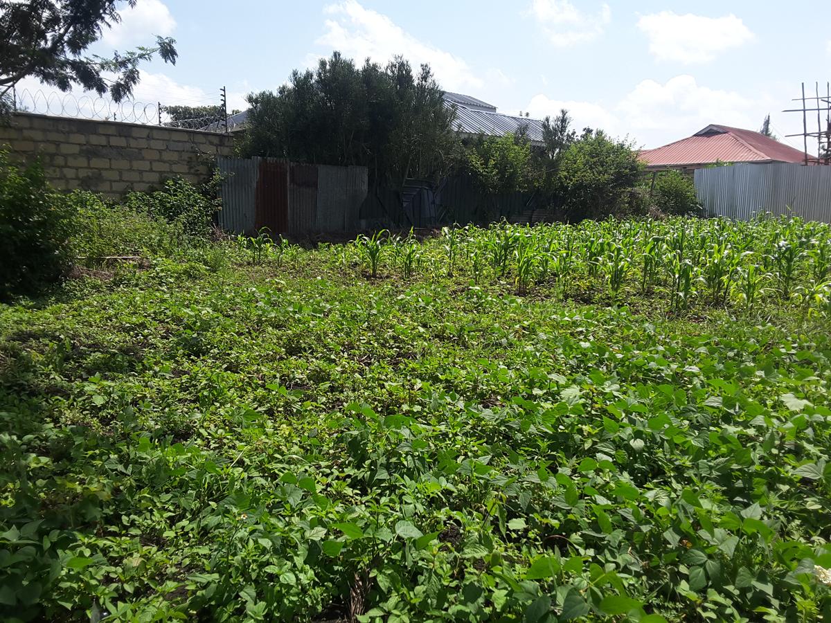 0.125 ac Residential Land in Ongata Rongai - 2