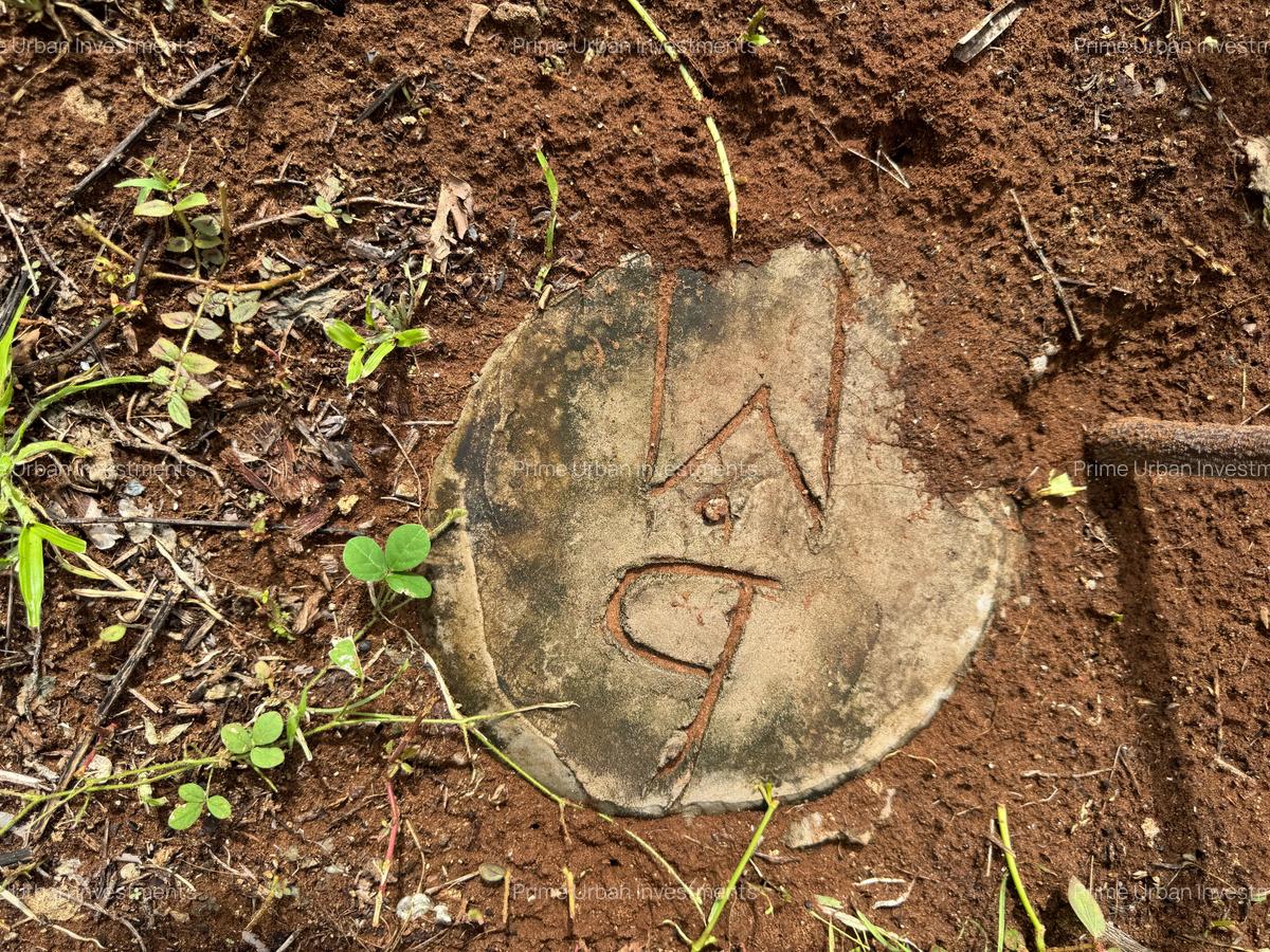 1,012 m² Land in Kikambala - 13