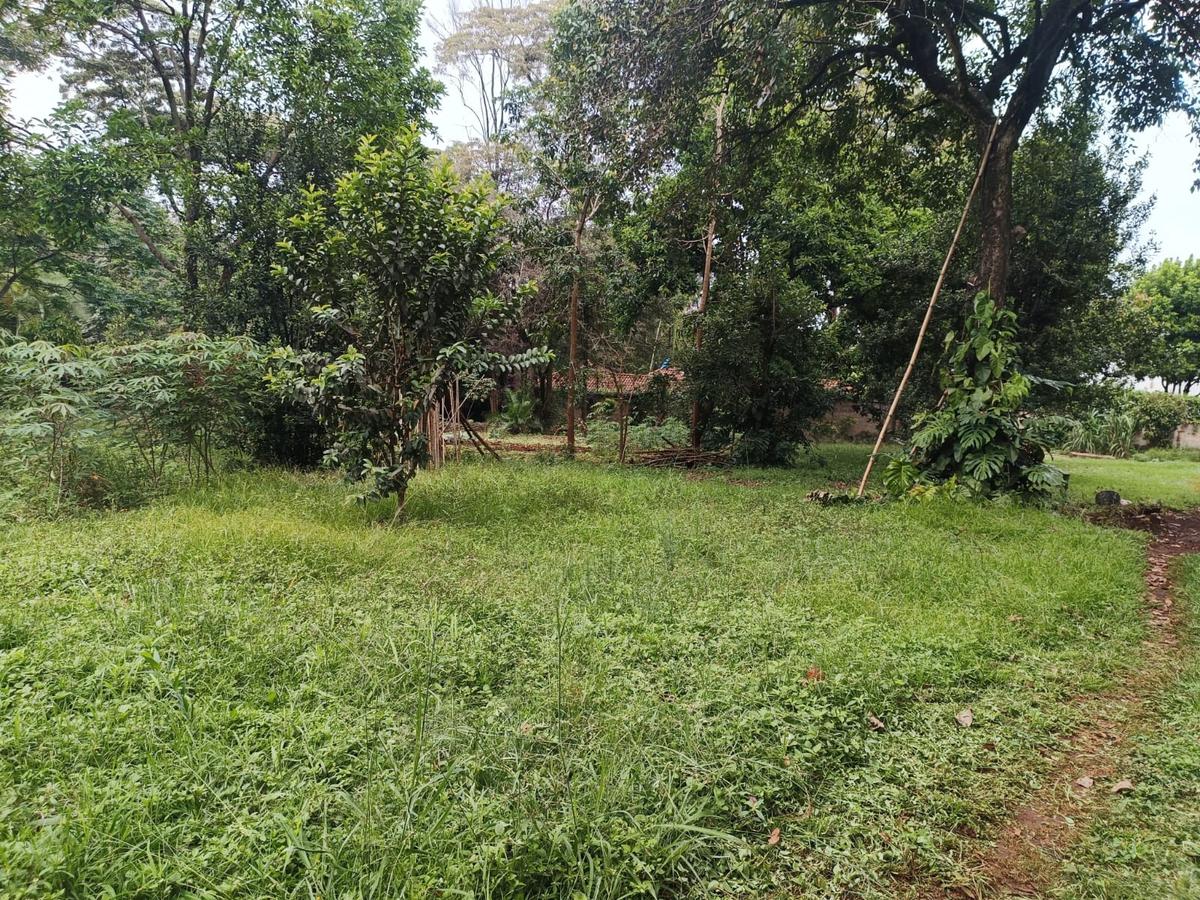 1 ac Land at Old Muthaiga Estate - 8