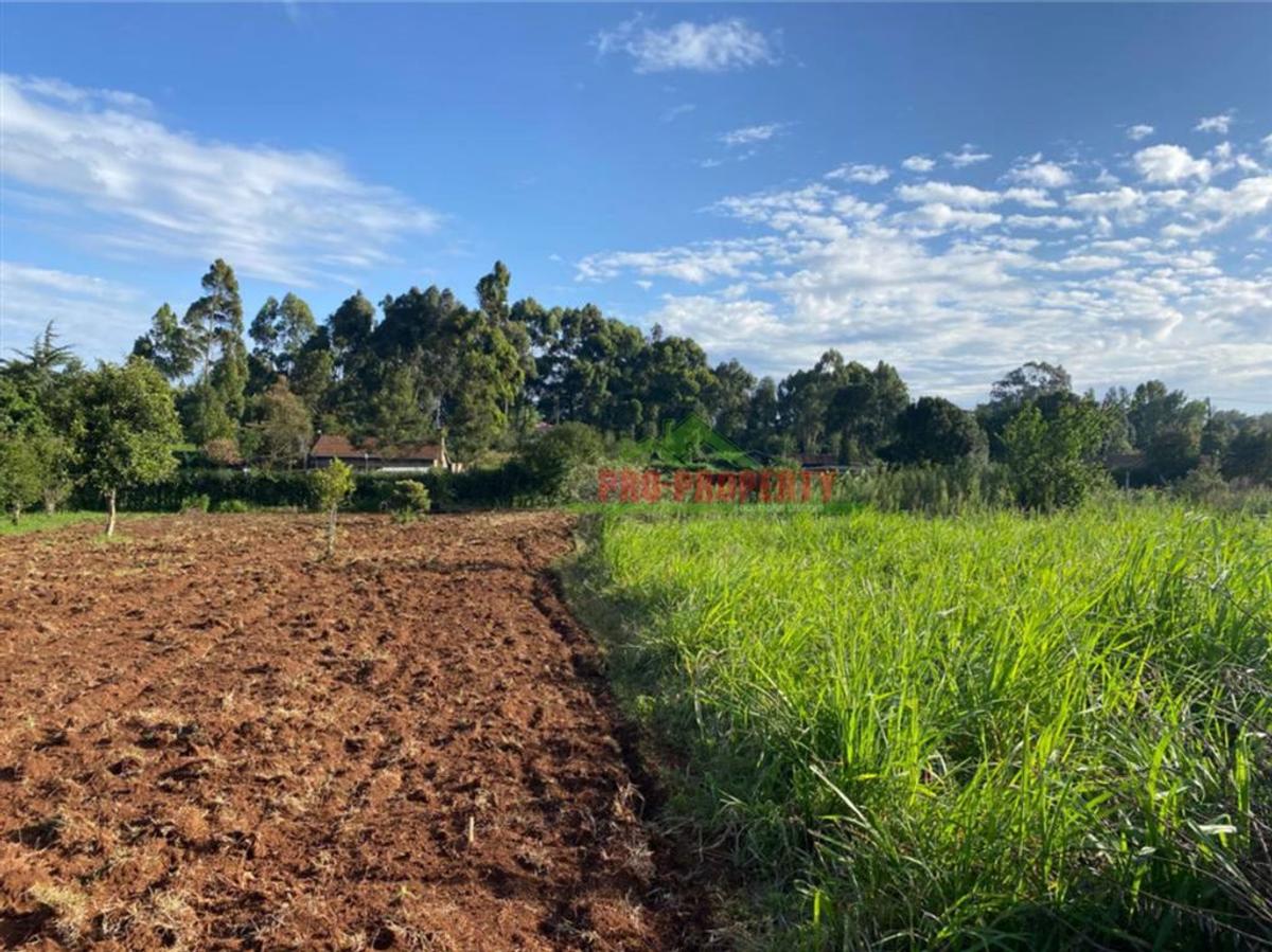 6,000 m² Land in Limuru - 8