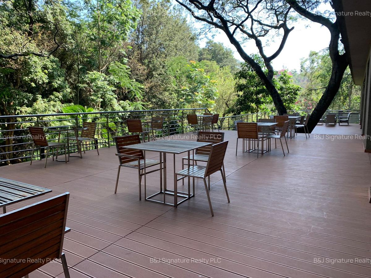 3 Bed Apartment with En Suite in Muthaiga - 1