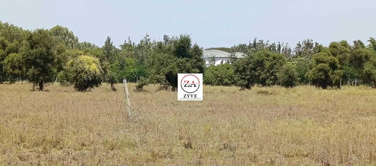 0.25 ac Land at Enkasiti - 7