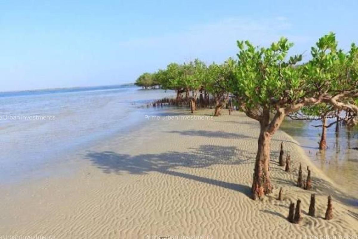 1,012 m² Land at Funzi Island Beach - 1