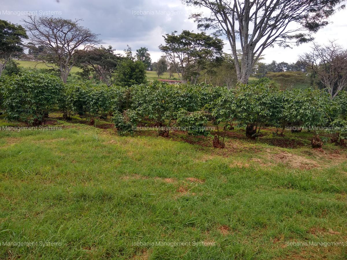 100 ac Land at Kiambu Road - 7