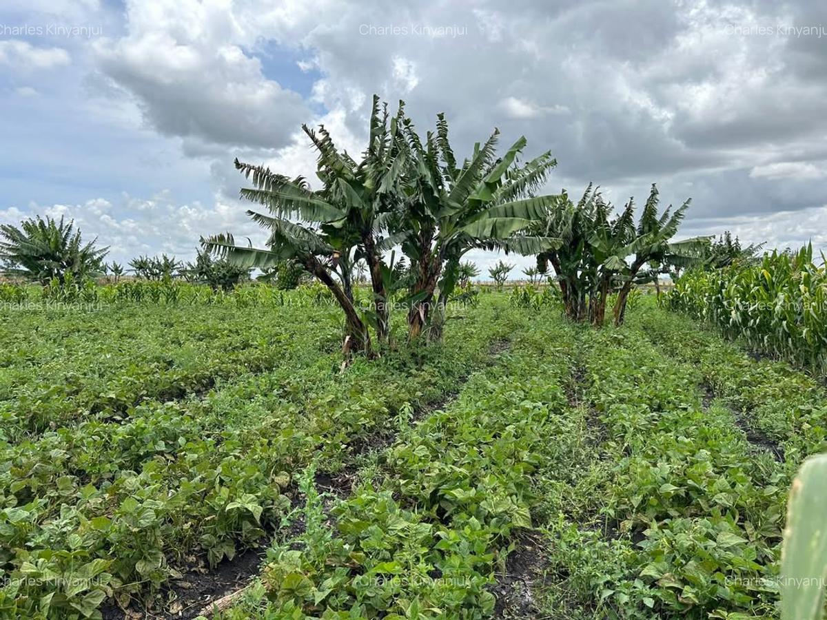 10.75 ac Land at Kisaju - 19