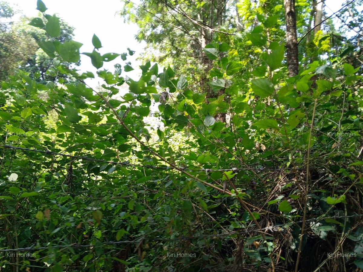 Land in Karen Hardy - 13