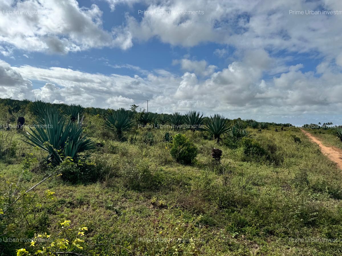 4,046.86 m² Land in Vipingo - 12
