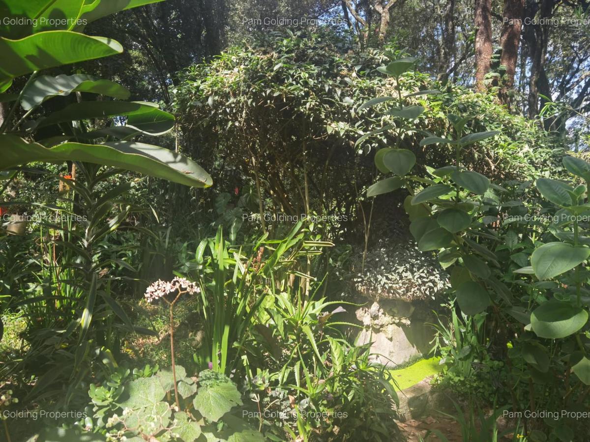 2 Bed House with En Suite in Karen - 12